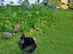 -云南滇池花园国际大酒店温泉