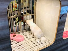 -1013 PET SHOP 宠物商店(近铁城市广场店)