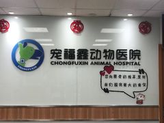 -宠福鑫动物医院(城北分院)