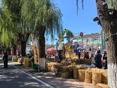-北戴河集发农业梦想王国