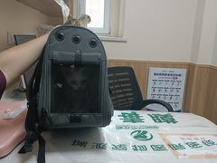 -瑞派宠物医院·24h·骨外科·皮肤科·全科宠物医疗转诊中心(沈阳浑南院)