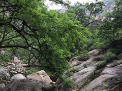 -房干生态旅游风景区