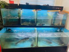-翠茗农庄土菜馆(天目湖店)