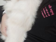 -共舞时光猫咖·狗咖(新街口店)