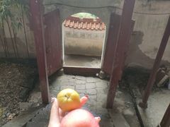 -东南悬空寺方广岩