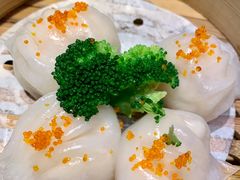 -南枝记