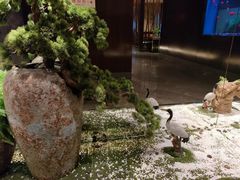-九洲喜来登酒店湖月日餐厅