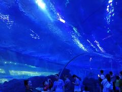 -成都浩海立方海洋公园