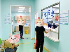 -北京观赏动物医院·24小时大型综合·猫专科·异宠专科