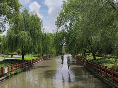 -九科绿洲