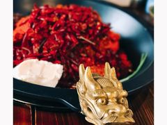 -黄潇洒老火锅(九眼桥宏济巷店)