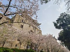 -武汉大学-樱园