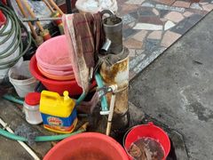 -老财炒饭·熟地蟹·冬瓜蟹