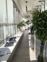 -净漪造型 PURE RIPPLE