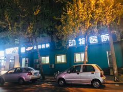 -瑞派宠物医院·内科·软组织·绝育中心(沈阳八纬路分院)