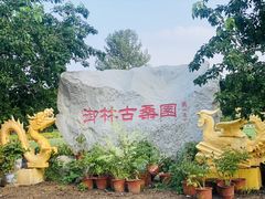 -御林古桑园
