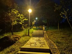 -聚龙山公园