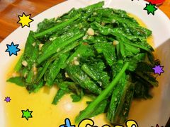 -桑吉林新派藏餐·汤锅·川菜
