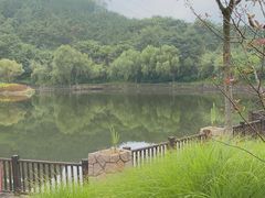 -浮山香苑