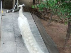 -鄂尔多斯野生动物园