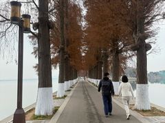 -东湖落雁景区