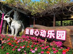 -盈香心动乐园