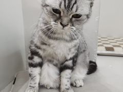 -怪兽屋·羊驼·猫咖·狗咖(俊华广场店)