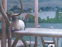 -西安秦岭野生动物园