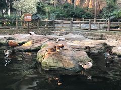 -南宫五洲植物乐园