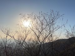 -北京西山国家森林公园