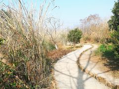 -桤木河湿地公园