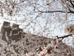 -北京明城墙遗址公园