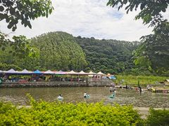 -满記土窑烧鷄波浪山莊