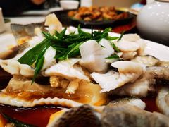 香葱蒸鲈鱼片-嘉华海鲜酒家(龙津中路店)