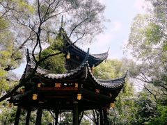 -金鸡山公园