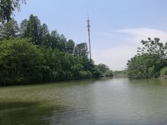 -同里国家湿地公园