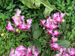 -北京植物园-展览温室