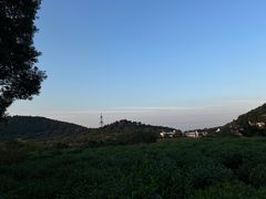 -树山生态村