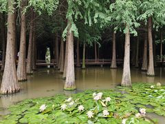 -捞渔河湿地公园