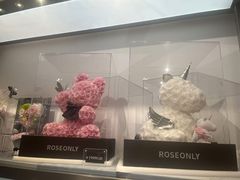 -ROSEONLY诺誓(广州K11店)