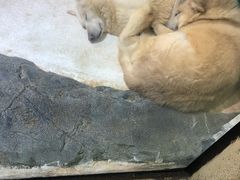 -大连圣亚海洋世界