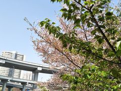 -上海南浦大桥长途旅游客运站