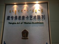 -包头博物馆