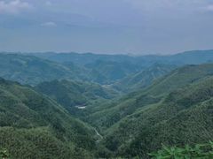 -四明山国家森林公园