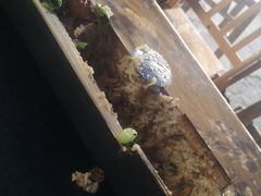 -竹泉农庄·竹筒饭(从化店)