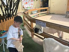 -HERRE·FARM 赫尔露营农场·团建聚会包场