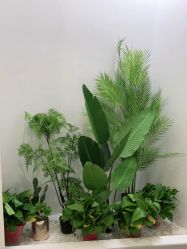 -VE专注问题肌·赛诺龙&科学美肤中心