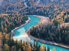 -煲来饱去冷水鱼