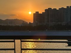 -野狸岛