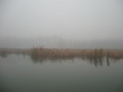 -滕州微山湖红荷湿地景区